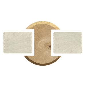 ROBINIE H-STOLPER L300*Ø14