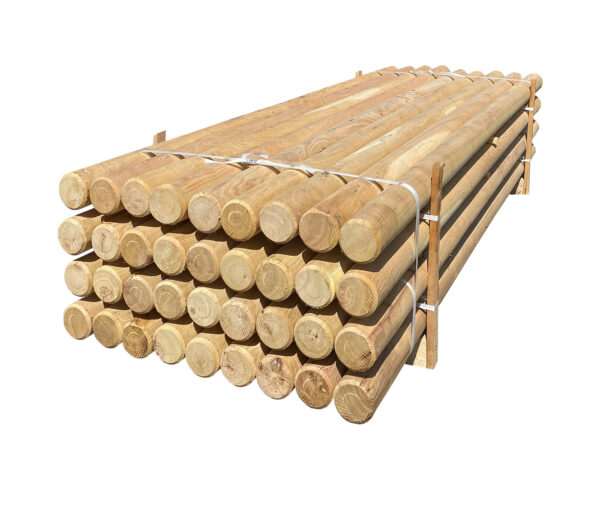 ROBINIE STOLPER L300*Ø12