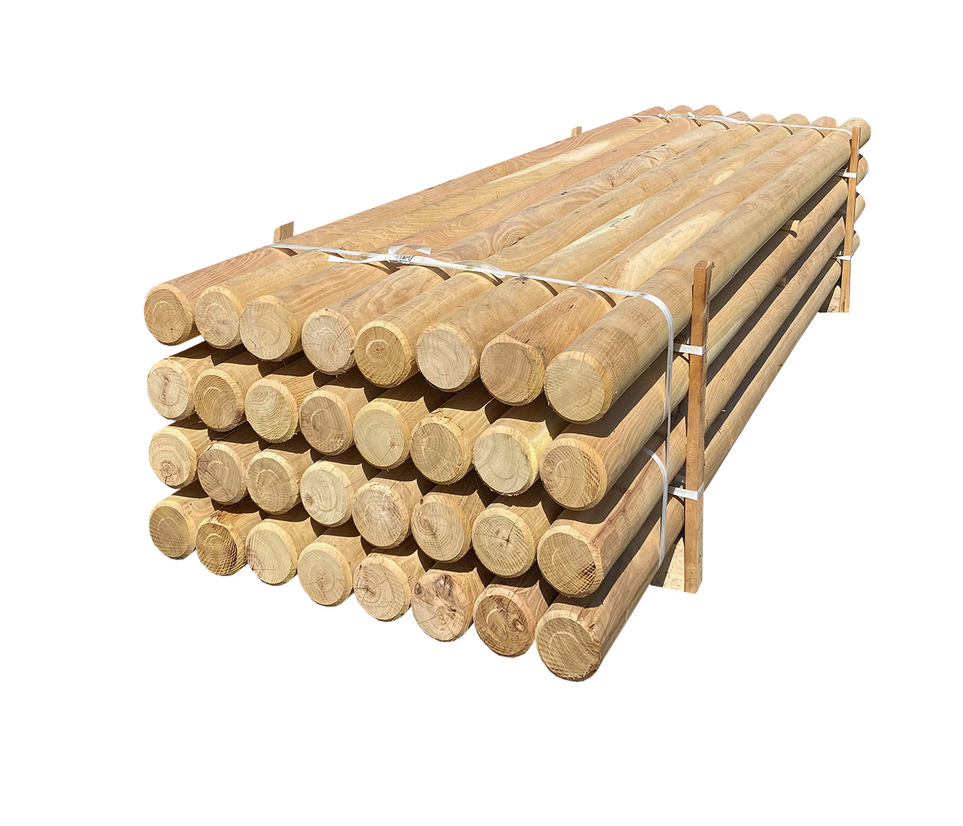 ROBINIE STOLPER L300*Ø14