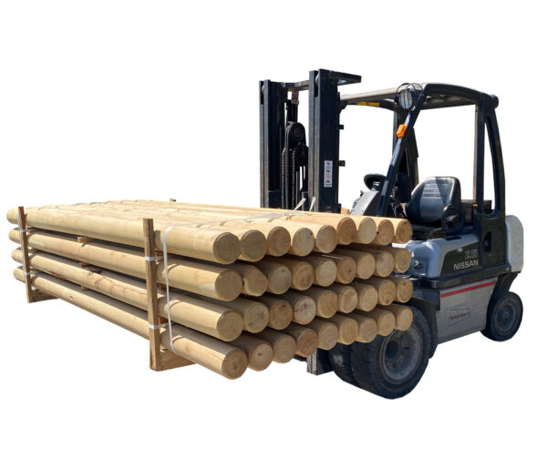 ROBINIE STOLPER L300*Ø14